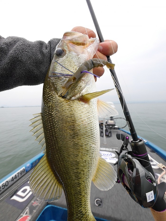 truth  ブログ写真 2017/05/25