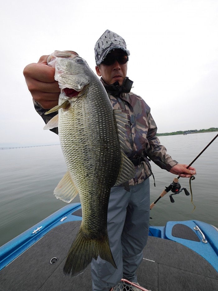 truth  ブログ写真 2017/05/25