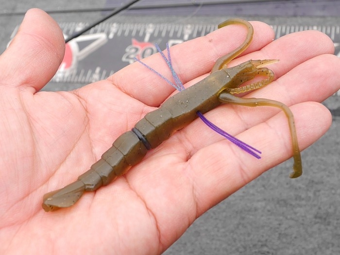 truth  ブログ写真 2017/05/25