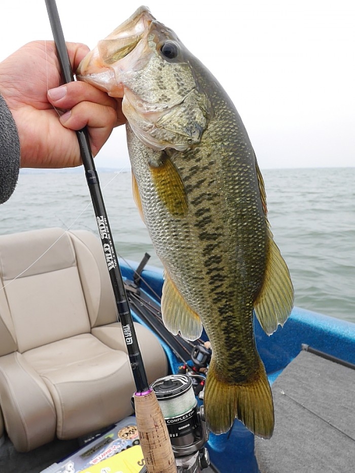 truth  ブログ写真 2017/05/25