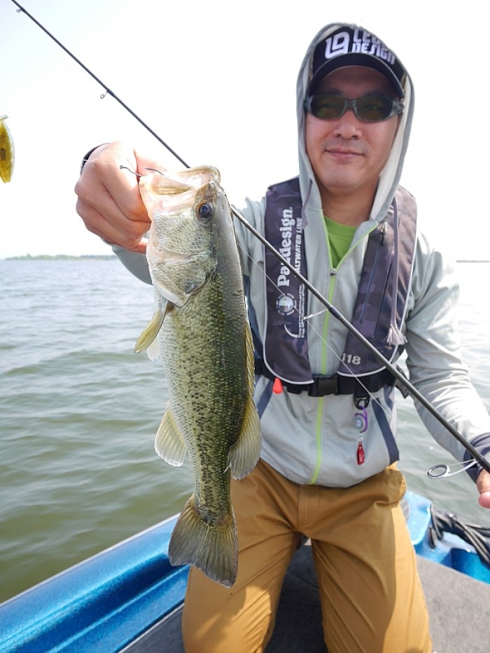 truth  ブログ写真 2017/06/02