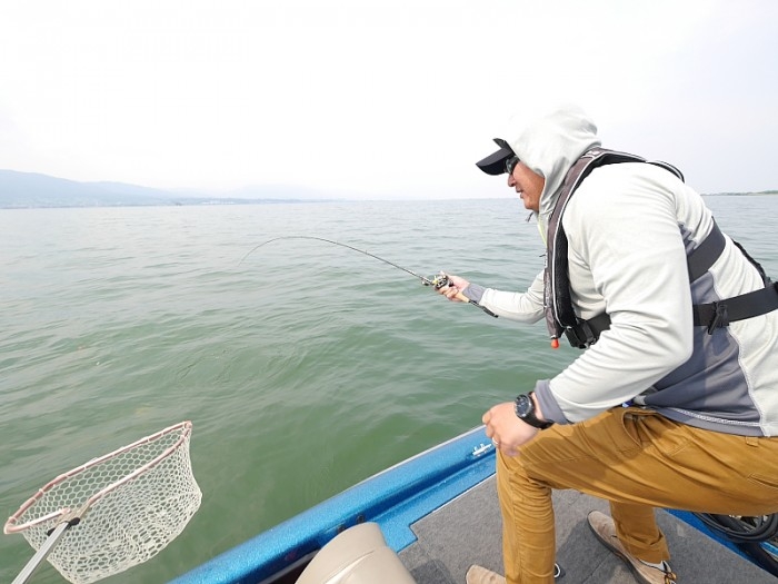 truth  ブログ写真 2017/06/02