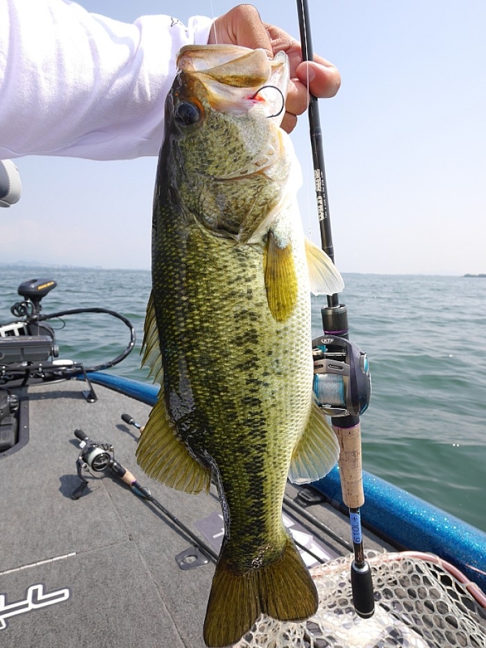 truth  ブログ写真 2017/06/02