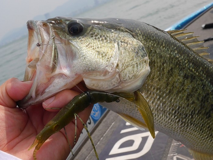 truth  ブログ写真 2017/06/02