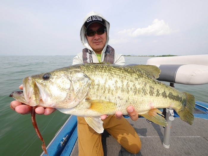 truth  ブログ写真 2017/06/02