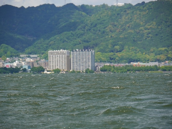 truth  ブログ写真 2017/06/02