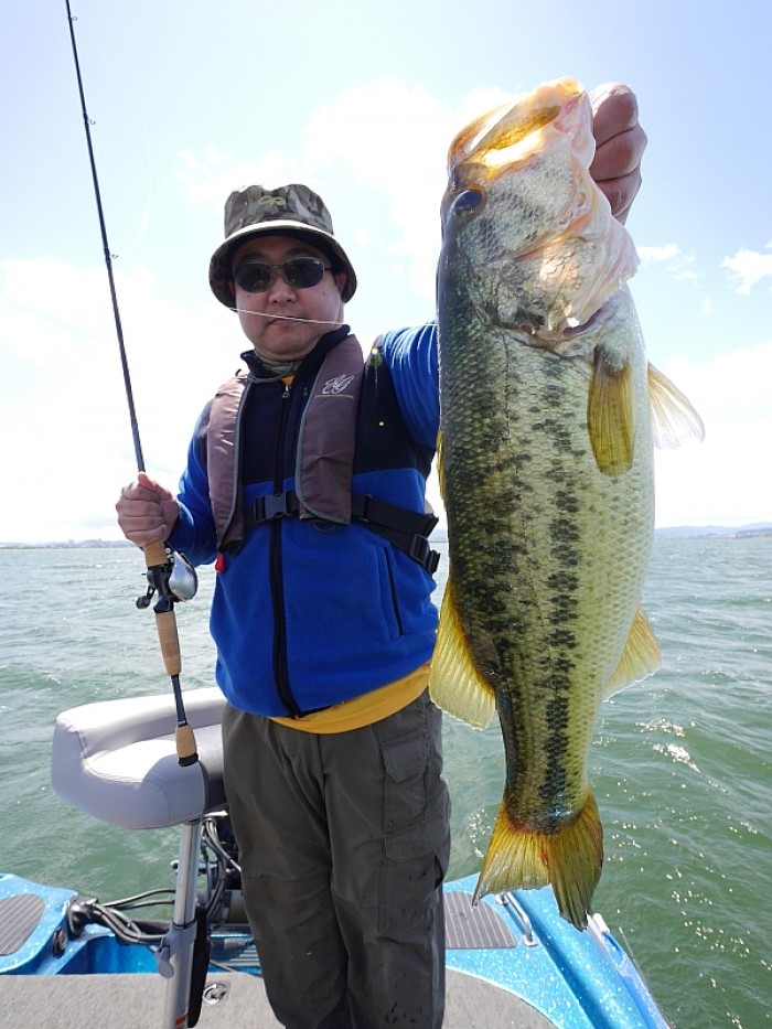 truth  ブログ写真 2017/06/02