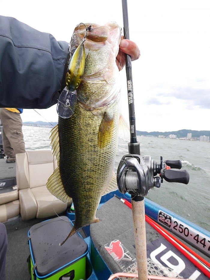 truth  ブログ写真 2017/06/02