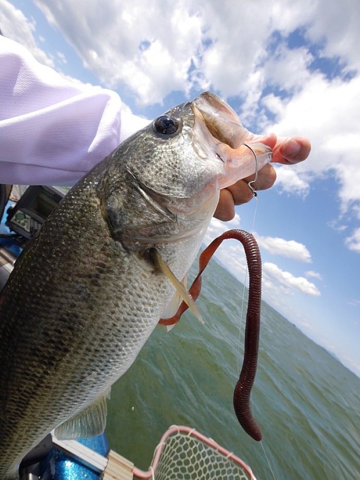 truth  ブログ写真 2017/06/02