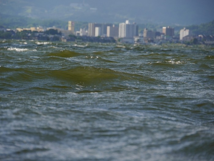 truth  ブログ写真 2017/06/02