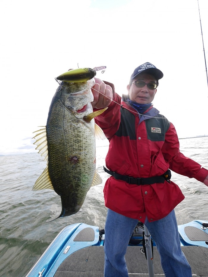 truth  ブログ写真 2017/06/04