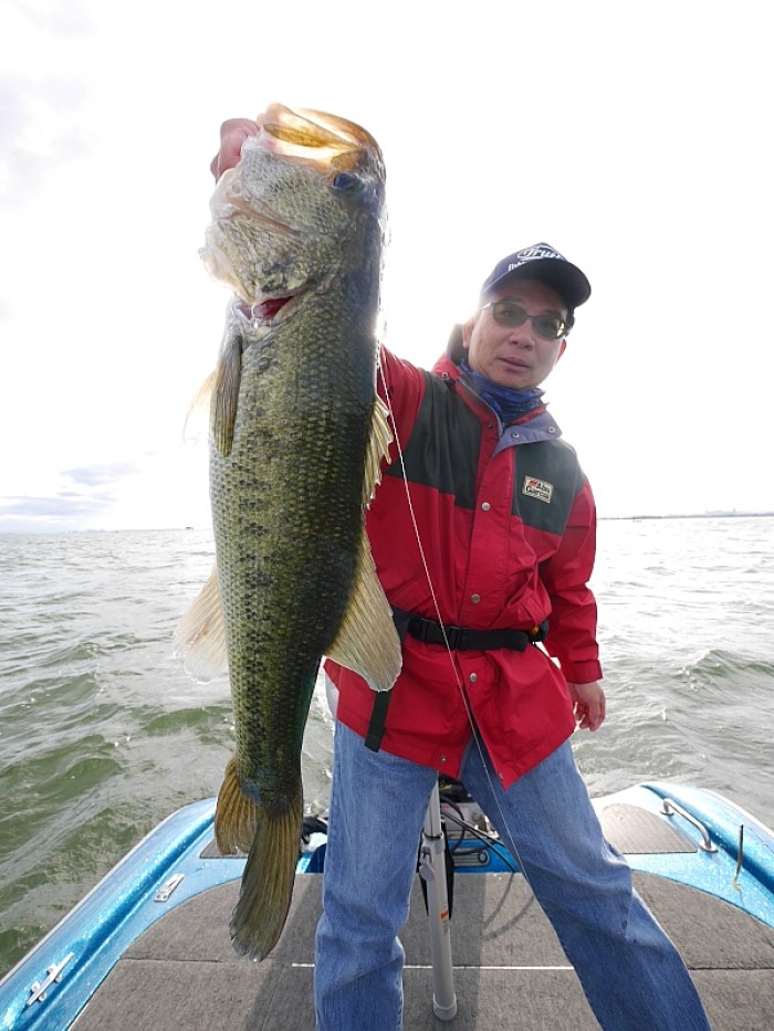 truth  ブログ写真 2017/06/04