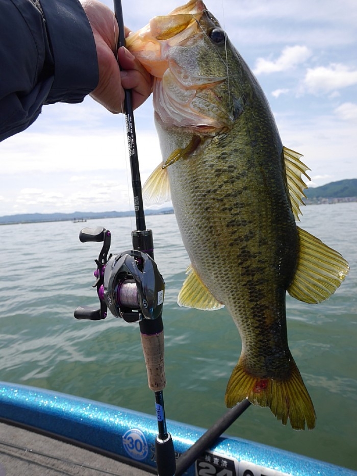 truth  ブログ写真 2017/06/04