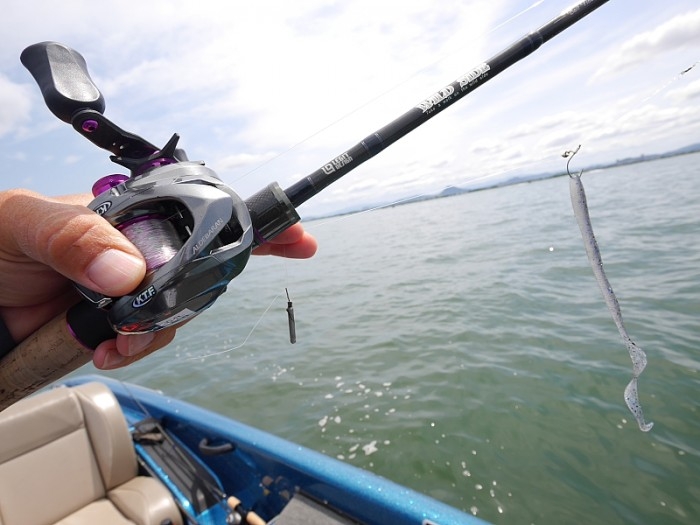 truth  ブログ写真 2017/06/04