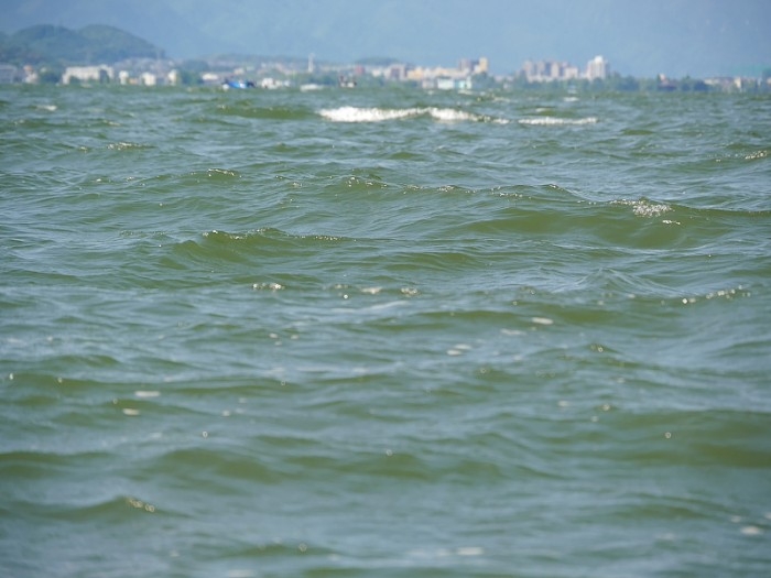 truth  ブログ写真 2017/06/04