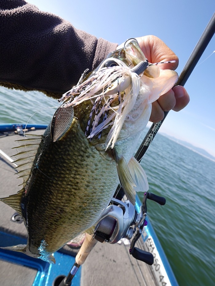 truth  ブログ写真 2017/06/06