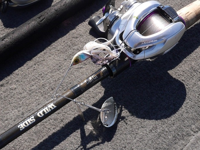 truth  ブログ写真 2017/06/06