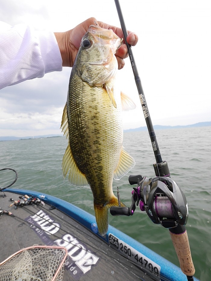 truth  ブログ写真 2017/06/06