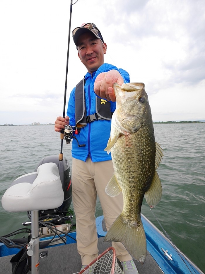 truth  ブログ写真 2017/06/06