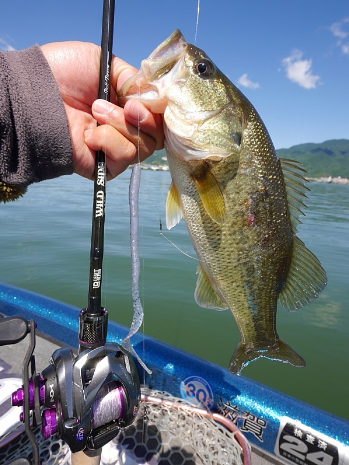 truth  ブログ写真 2017/06/06