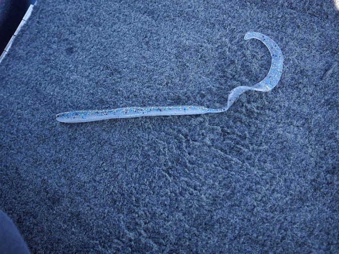 truth  ブログ写真 2017/06/06