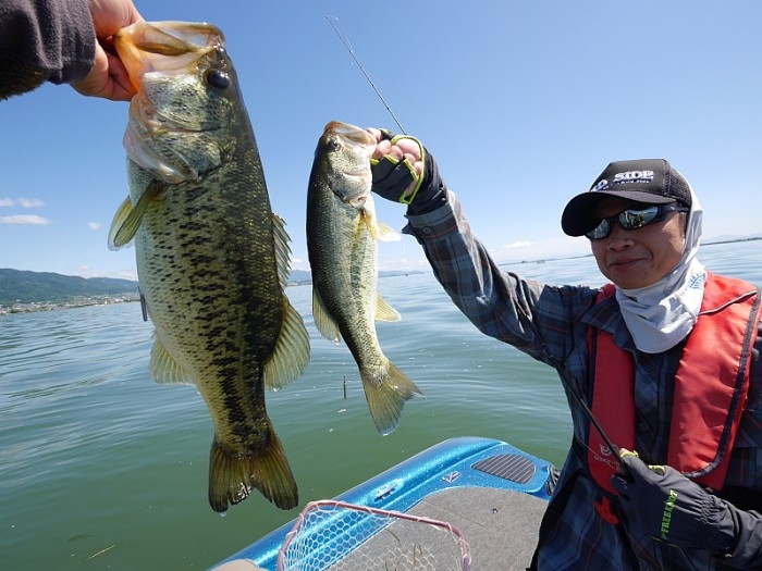 truth  ブログ写真 2017/06/06