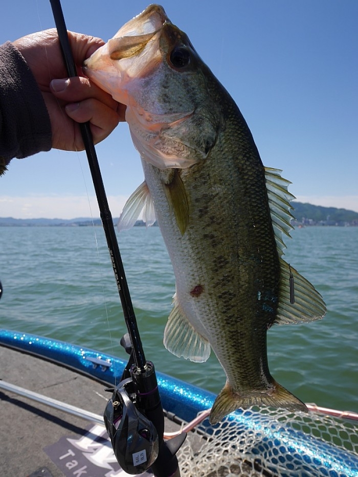 truth  ブログ写真 2017/06/06