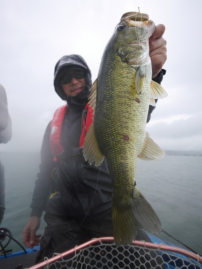 truth ブログ写真 2017/06/07