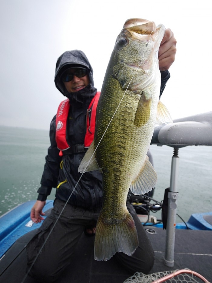 truth ブログ写真 2017/06/07