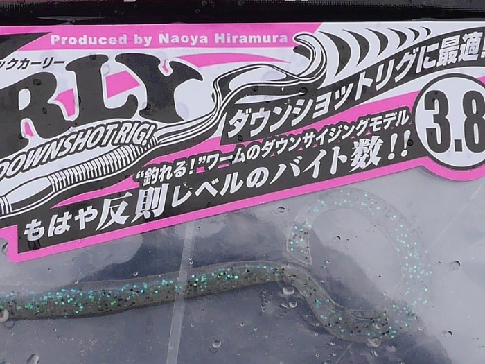 truth ブログ写真 2017/06/07