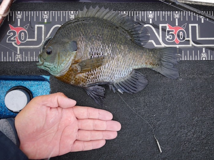 truth ブログ写真 2017/06/07