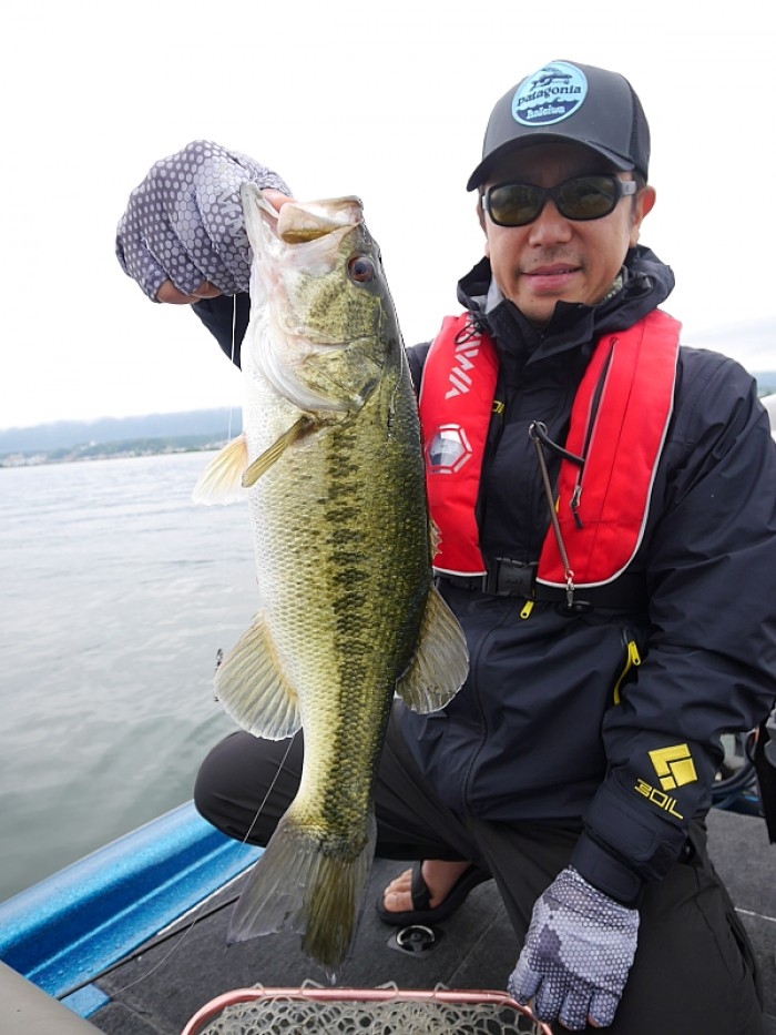 truth  ブログ写真 2017/06/09