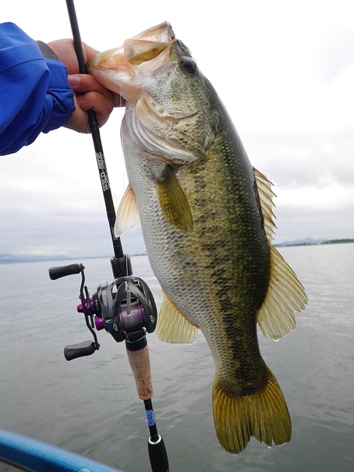 truth  ブログ写真 2017/06/09