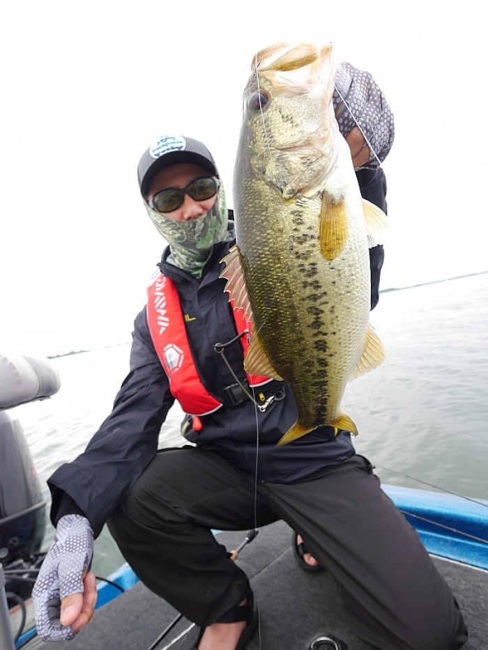 truth  ブログ写真 2017/06/09