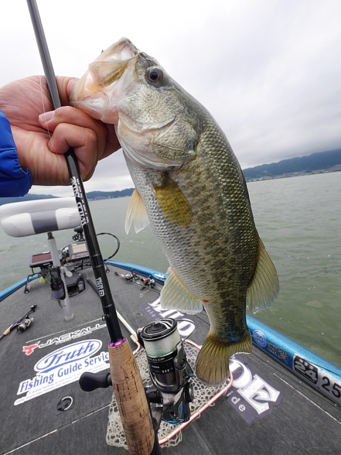 truth  ブログ写真 2017/06/09