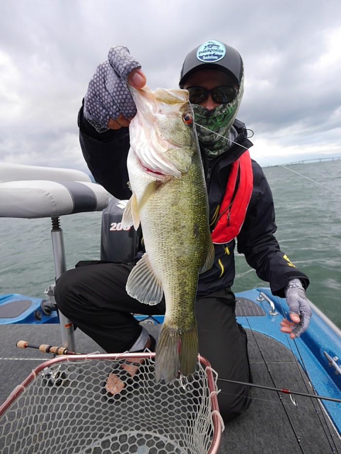 truth  ブログ写真 2017/06/09