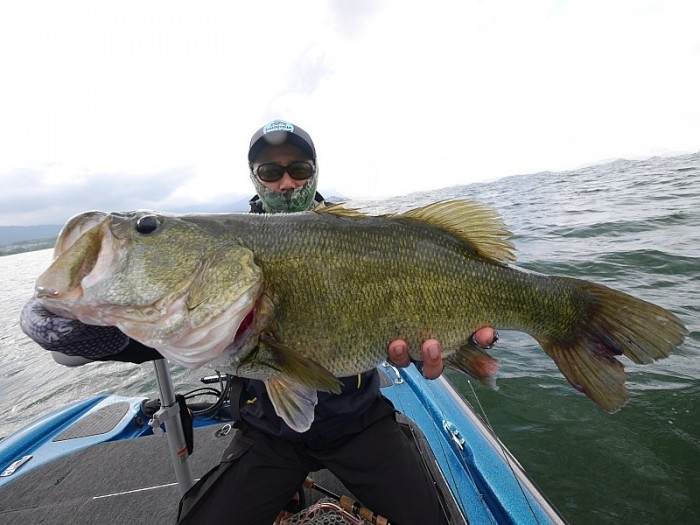 truth  ブログ写真 2017/06/09