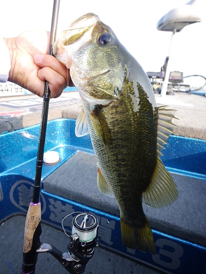 truth  ブログ写真 2017/06/10