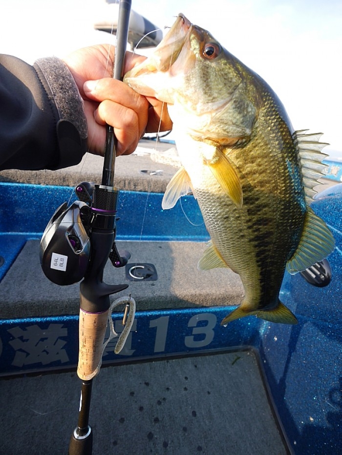 truth  ブログ写真 2017/06/10