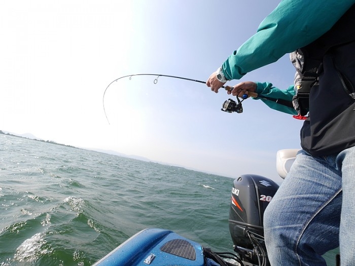 truth  ブログ写真 2017/06/10