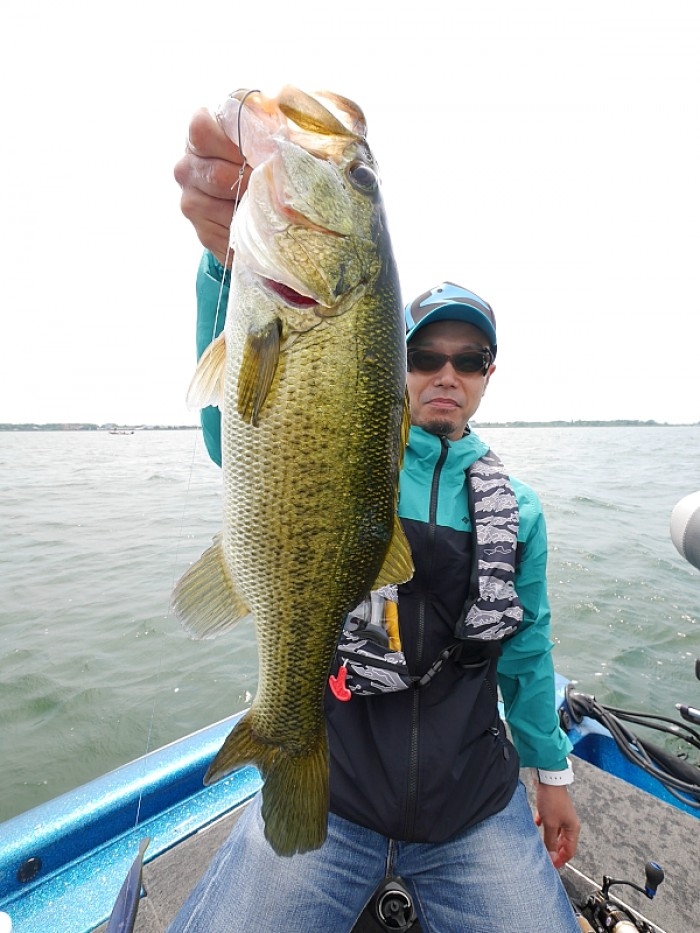 truth  ブログ写真 2017/06/10