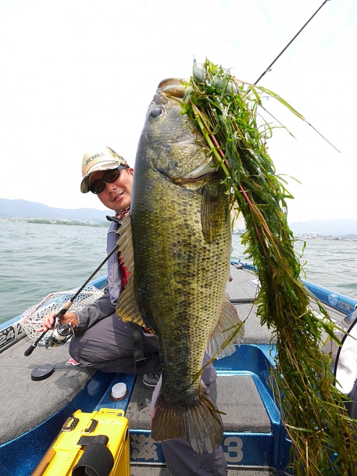 truth  ブログ写真 2017/06/10