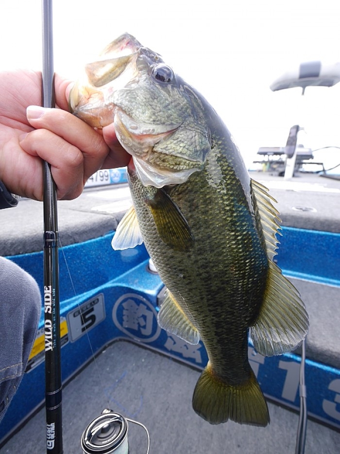 truth  ブログ写真 2017/06/13