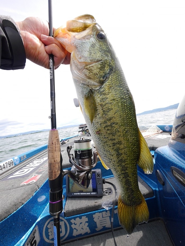 truth  ブログ写真 2017/06/13