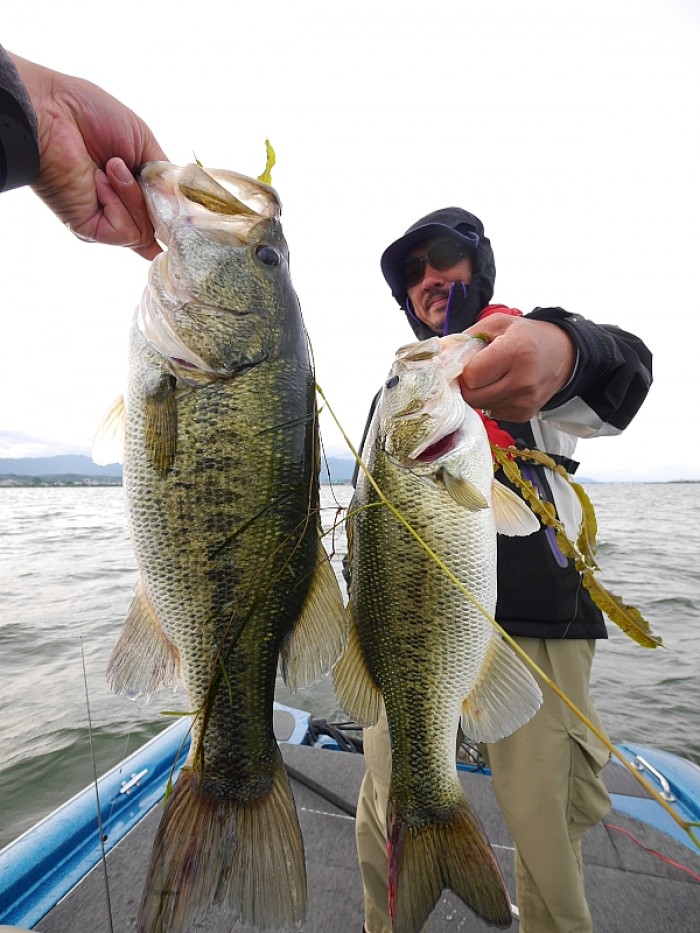 truth  ブログ写真 2017/06/13