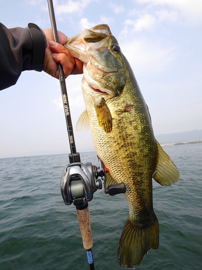 truth ブログ写真 2017/06/17