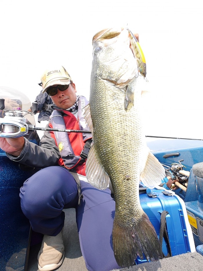 truth ブログ写真 2017/06/17