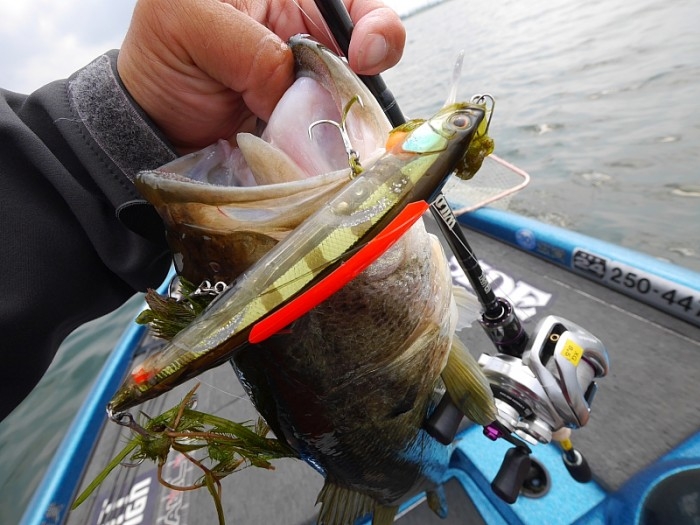 truth ブログ写真 2017/06/17