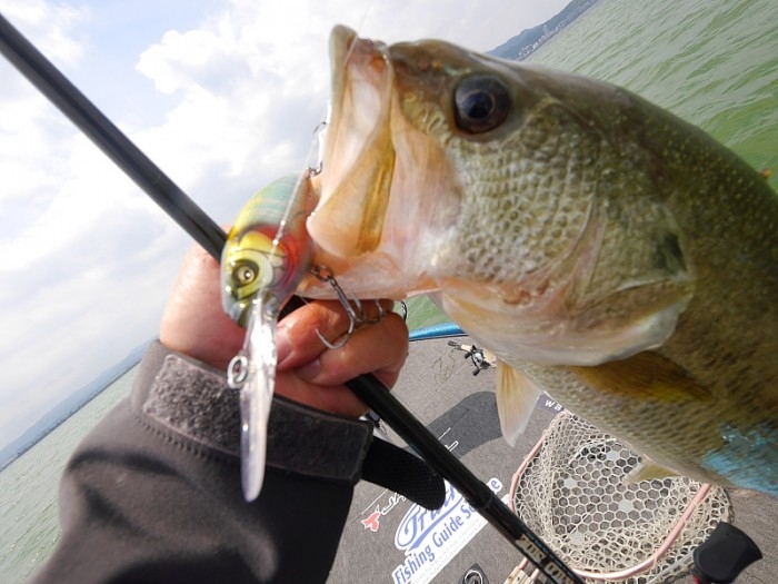 truth ブログ写真 2017/06/17