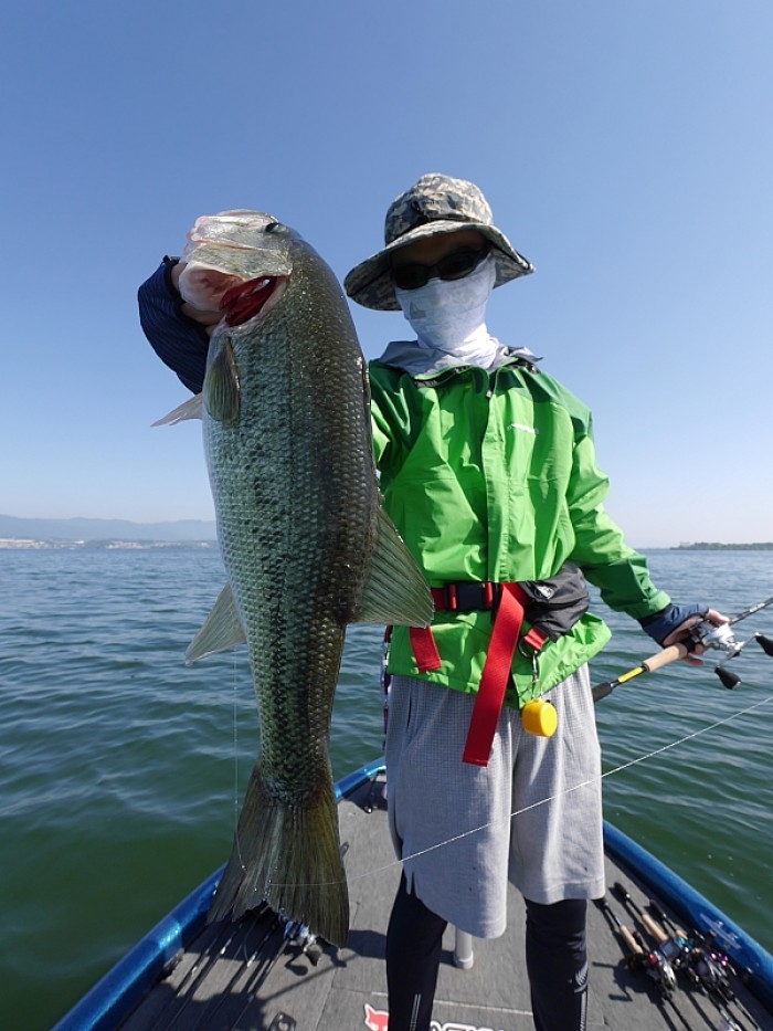 truth ブログ写真 2017/06/20